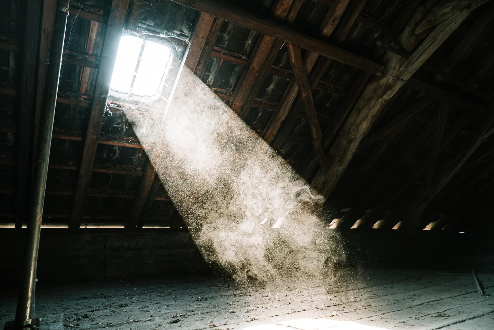 5 Reasons Your Home Is Dusty & What You Should Do About It